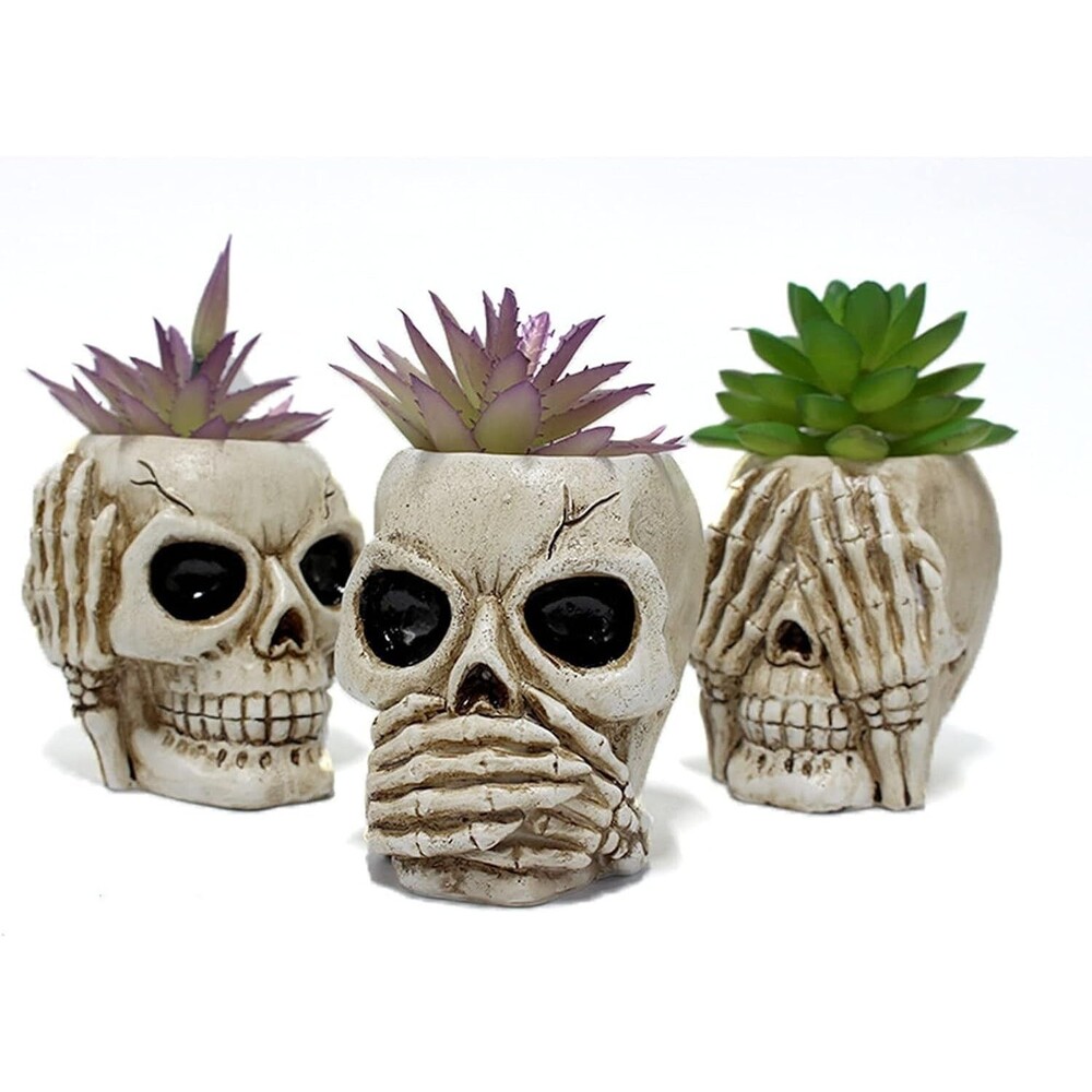 3 Pack Skull Planter Set, Halloween Succulent Planters